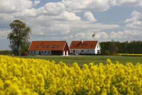 Hobykrok B&B in Lund